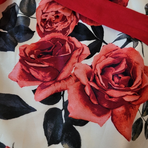 Madison Leigh high-low dress - Picture 2 of 5